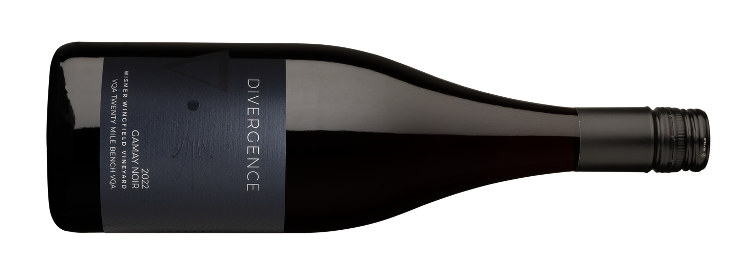 Divergence Wines 2023 Gamay Noir
