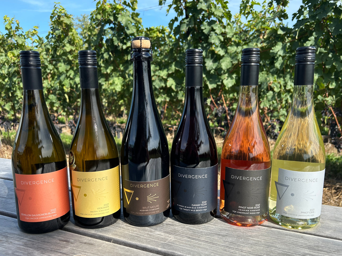 Divergence Wines Hockey WineUp Pack