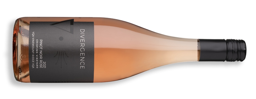 Divergence Wines 2021 Pinot Noir Rosé – Collab Wine & Beverage