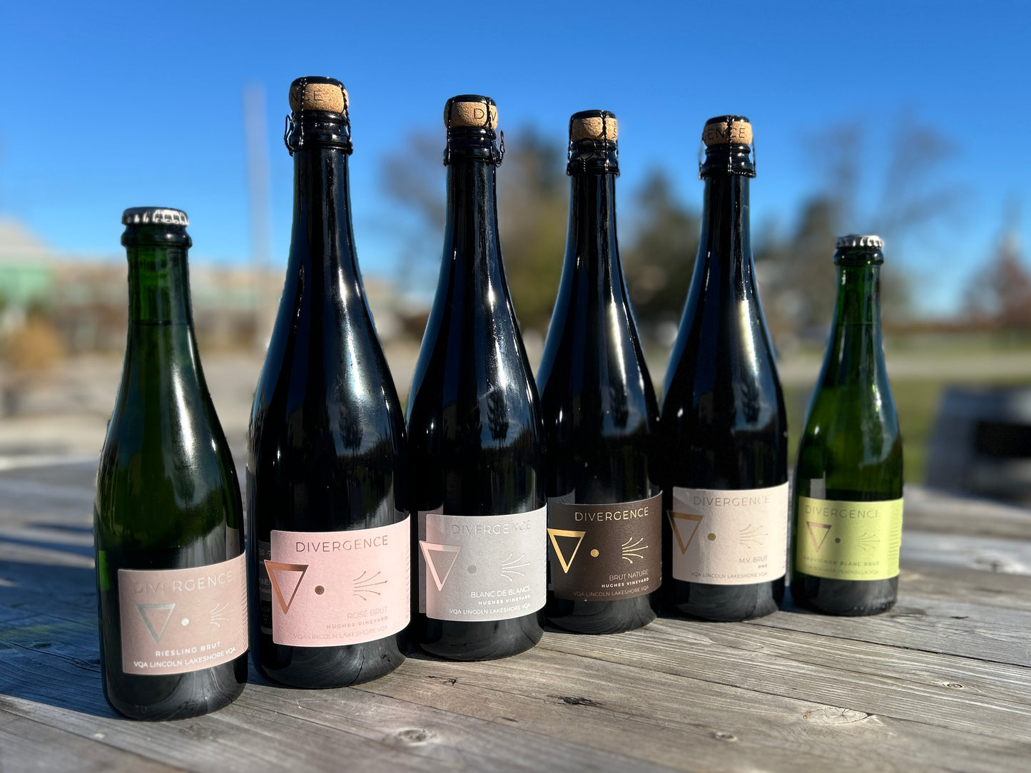 Divergence Wines Sparkling Pack