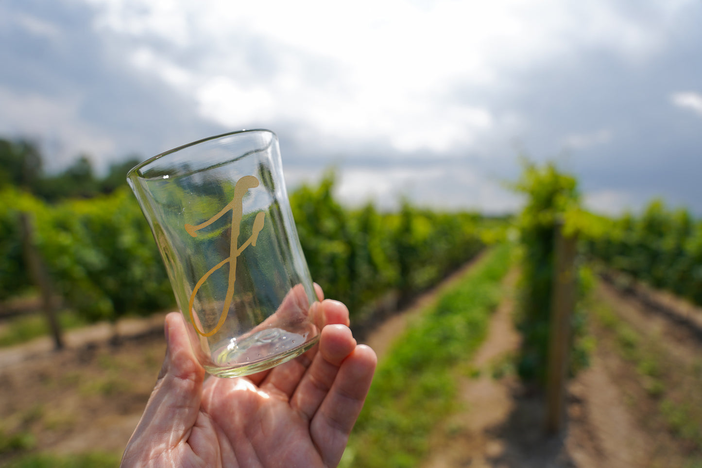 Holding a Fogolar Wines Bicchierri in front of a vineyard