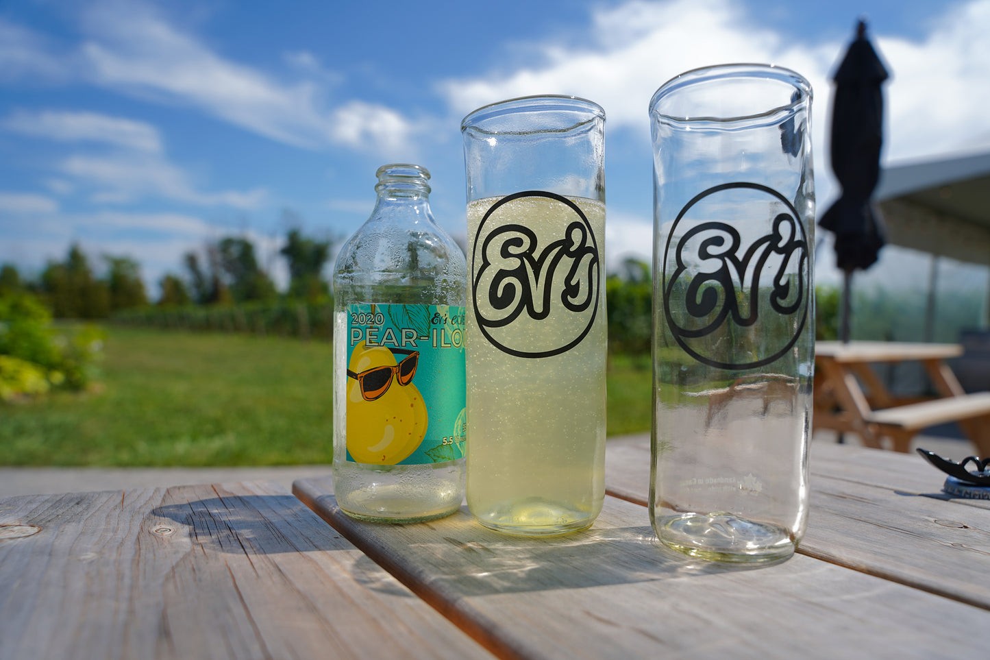 Ev's Eclectics Pint-ish Glasses on a picnic table