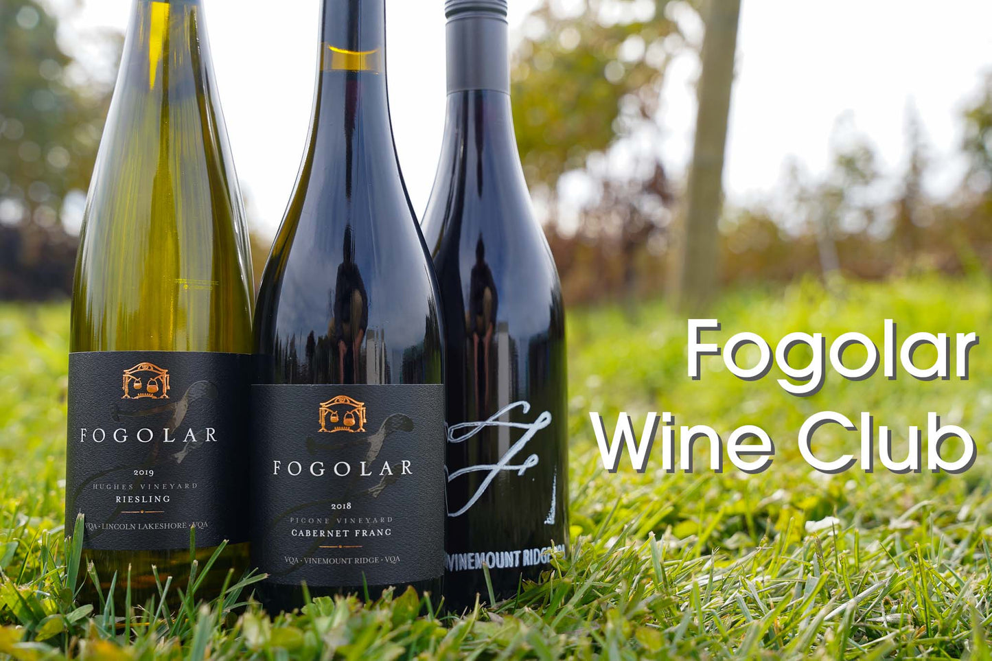 Fogolar Wines 2023 Wine Club Membership